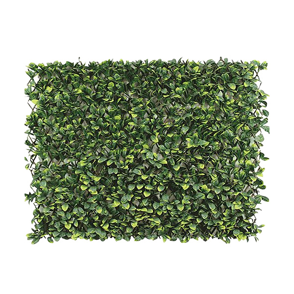 Jardín vertical hoja grande verde y amarilla