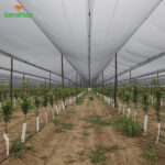 red antigranizo cerroplast