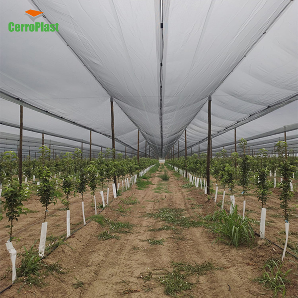 red antigranizo cerroplast
