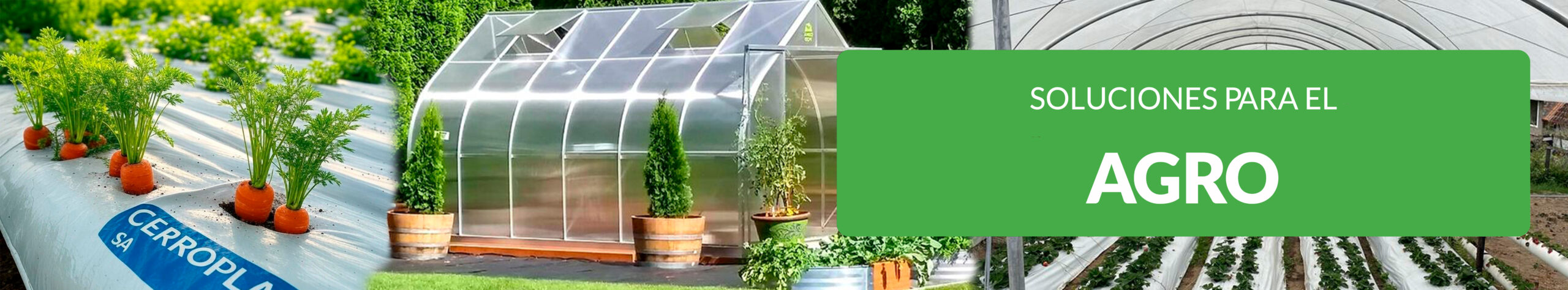 agro soluciones cerropalst