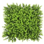 Jardín vertical lyptus de 50CM x 50CM